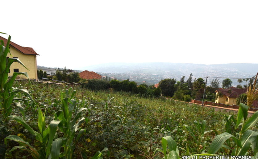 plot for sale in rebero (11)