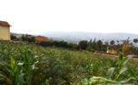 plot for sale in rebero (12)
