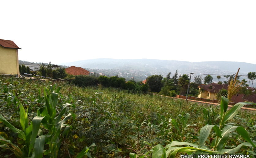 plot for sale in rebero (12)