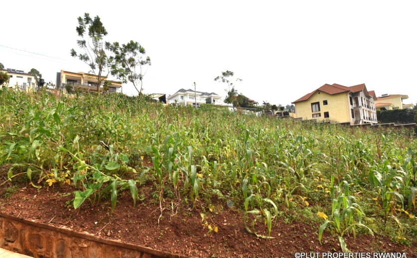 plot for sale in rebero (4)