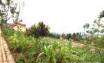 plot for sale in rebero (6)