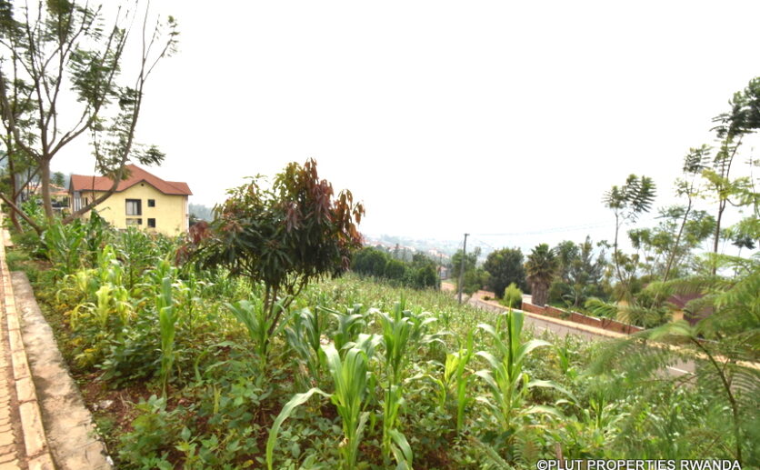 plot for sale in rebero (6)