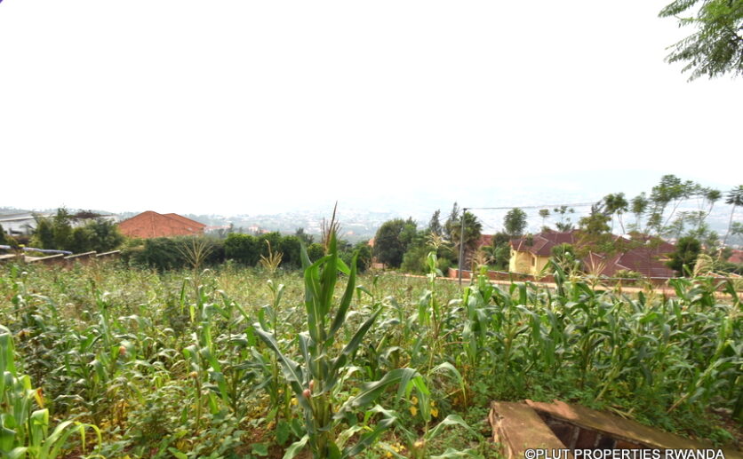 plot for sale in rebero (8)