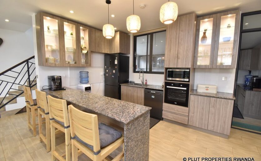 rebero villa for rent plut properties (10)