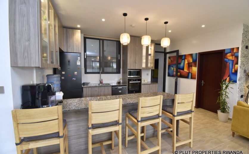 rebero villa for rent plut properties (13)