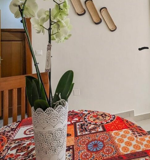 apartment for rentt in kacyiru (5)