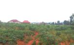 land for sale in Bugesera (2)