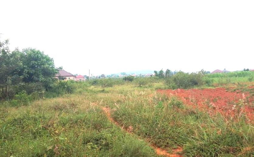 land for sale in Bugesera (4)