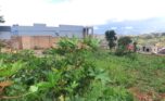 land for sale in masizi (1)