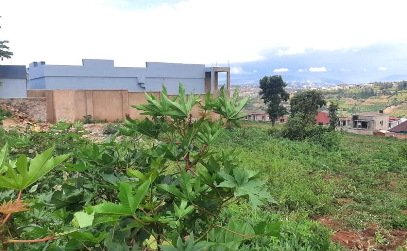 land for sale in masizi (1)