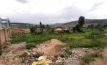 land for sale in masizi (2)