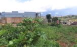 land for sale in masizi (5)