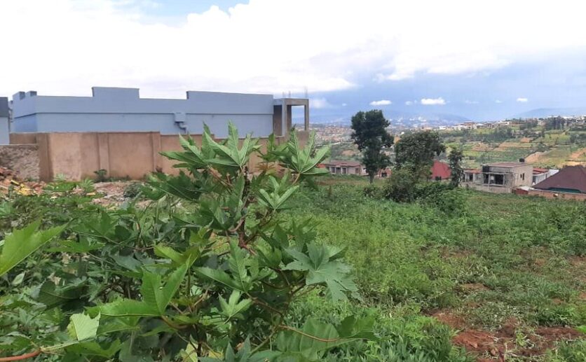 land for sale in masizi (5)
