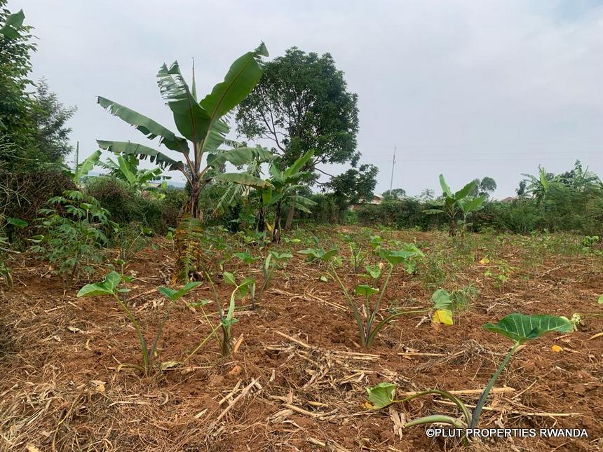 Big plot for sale in Rusororo.