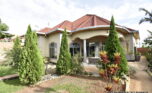 Furnisehd house for rent in Rebero (1)