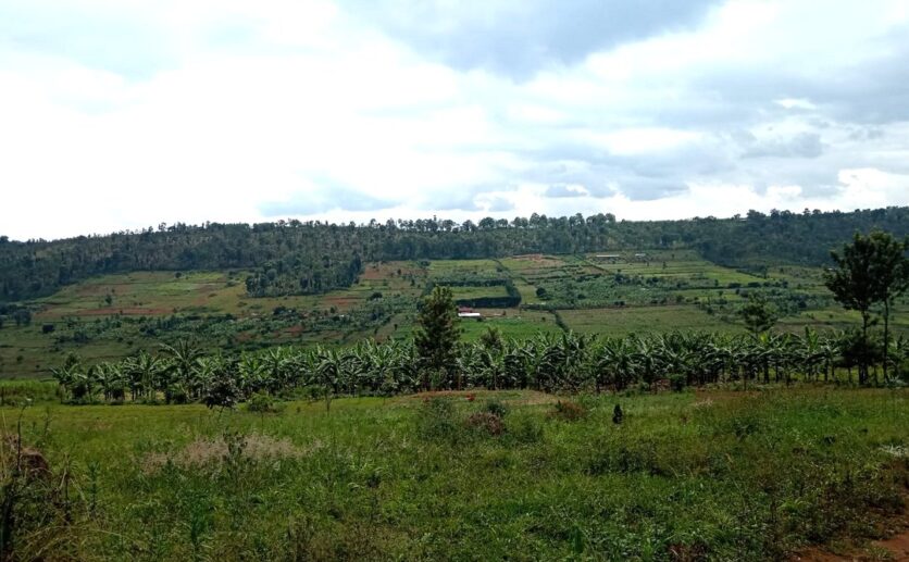 buy land in Rwamagana (1)