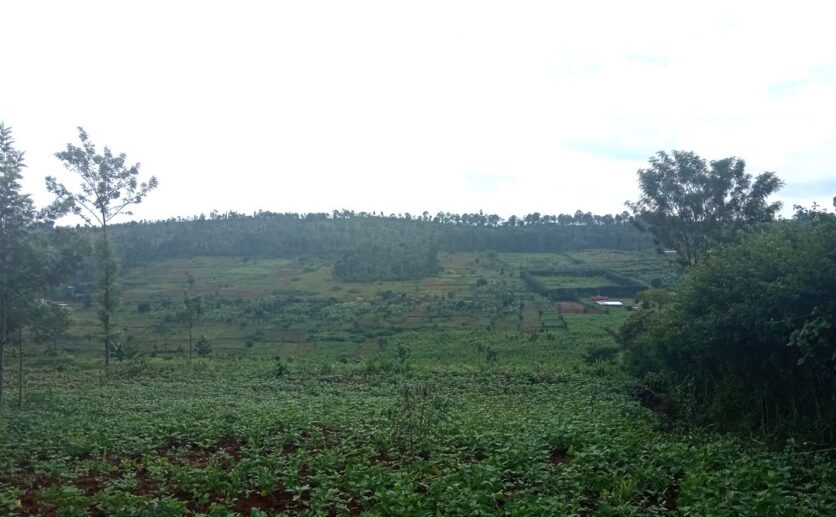 buy land in Rwamagana (3)