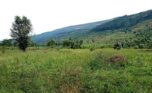 buy land in Rwamagana (6)