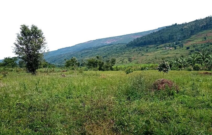 buy land in Rwamagana (6)