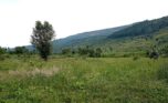 buy land in Rwamagana (8)