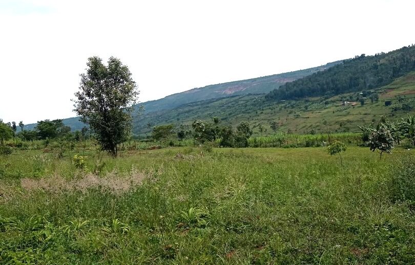 buy land in Rwamagana (8)