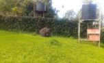 land for sale in Kiyovu (1)