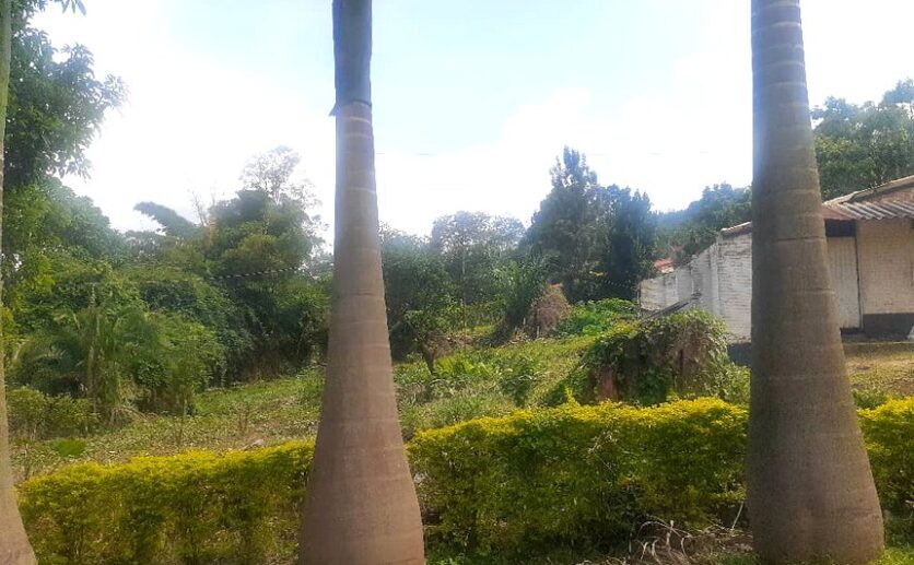 land for sale in Kiyovu (2)