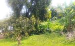 land for sale in Kiyovu (3)