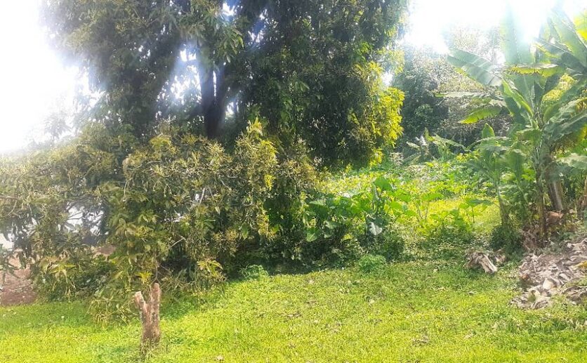 land for sale in Kiyovu (3)