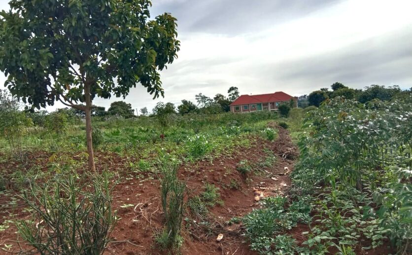 land for sale in rusororo (2)
