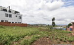 big land for sale in Rebero (3)