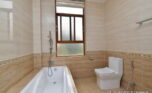 serviced modern ground floor apartment (update) (7)