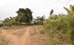 Land for sale in Bugesera plut properties 2 (4)