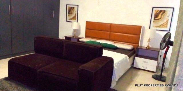 House for rent in Kibagabaga plut properties (3)