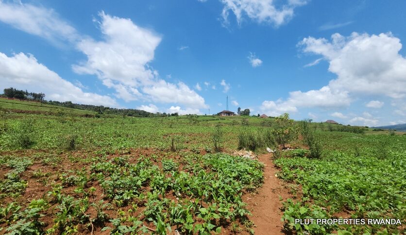 Buy land in Bumbogo 2 plut properties (1)