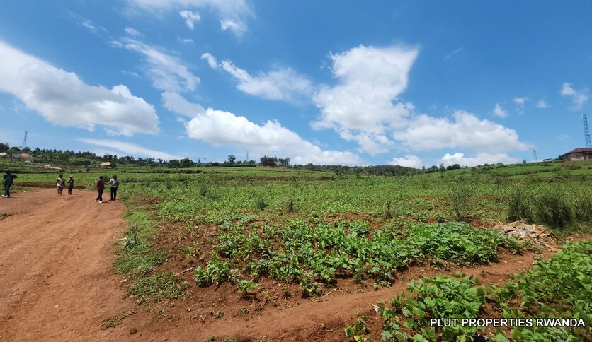 Buy land in Bumbogo 2 plut properties (2)