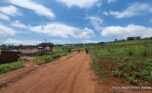 Buy land in Bumbogo 2 plut properties (3)