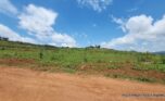 Buy land in Bumbogo 2 plut properties (4)
