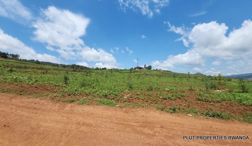 Buy land in Bumbogo 2 plut properties (4)
