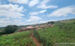 Buy land in Bumbogo 2 plut properties (5)