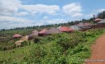 Buy land in Bumbogo 2 plut properties (7)