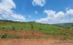 Buy land in Bumbogo 2 plut properties (8)