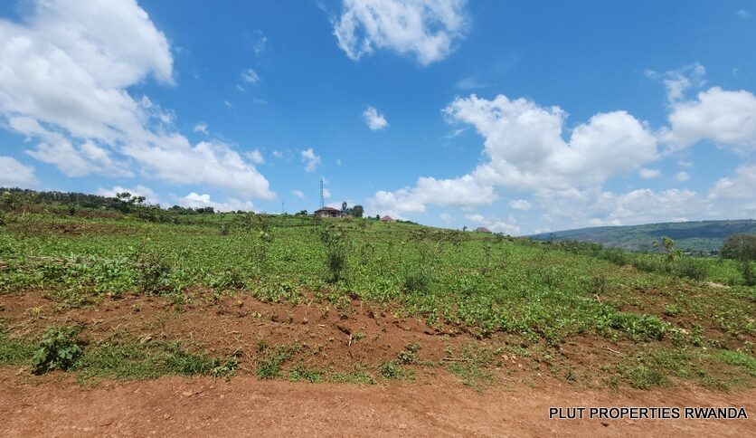 Buy land in Bumbogo 2 plut properties (8)