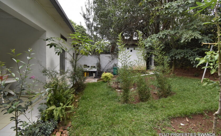 House for rent in Kiyovu plut properties (3)
