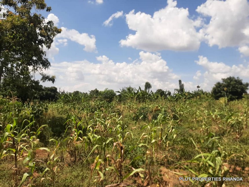 Land for sale in Bugesera