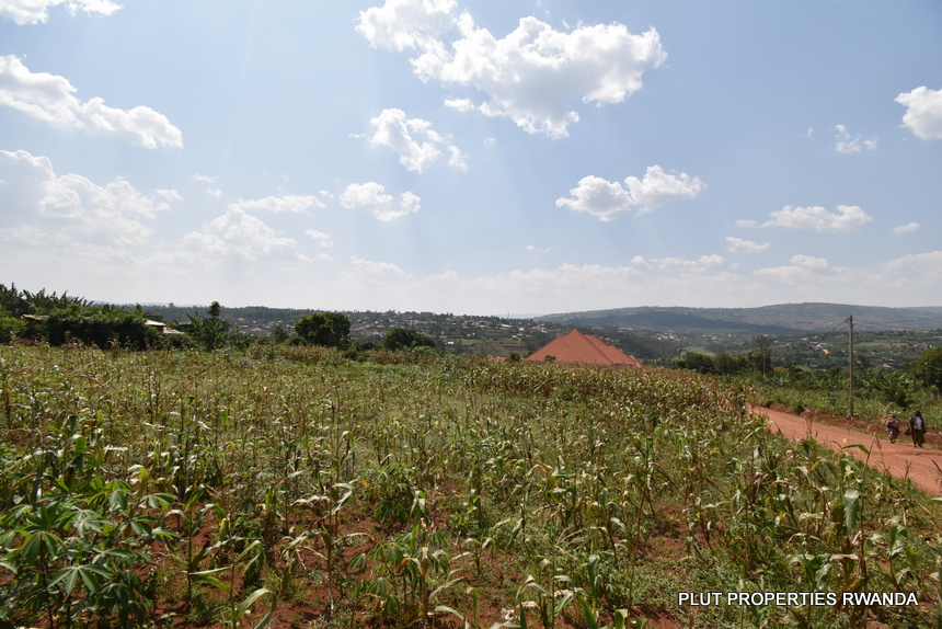 Big plot for sale in Gasogi