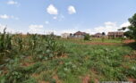 Big plot for sale in Gasogi plut properties (3)