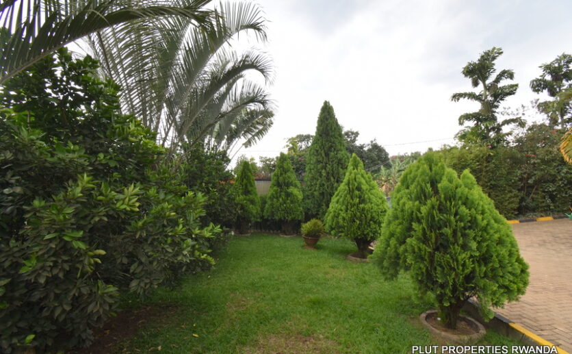 House for rent in Kagugu plut properties (20)