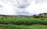 Big land in Gacuriro plut properties (1)