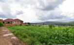 Big land in Gacuriro plut properties (2)